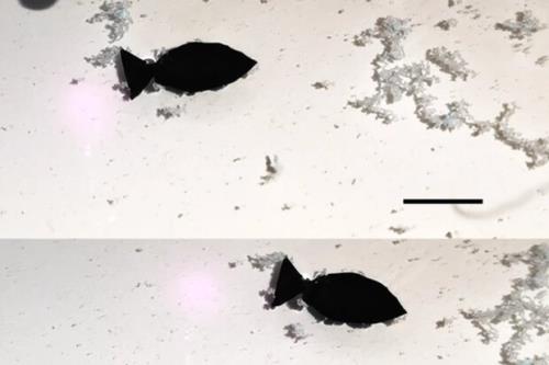 ماهی رباتیک ریز پلاستیک های آب را پاک می کند