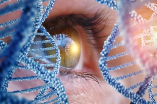 کشفی جدید در رابطه با نحوه تکامل بینایی انسان