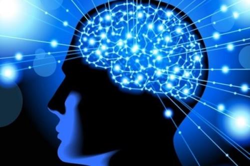 فراخوان ساخت الكترودهای عصبی منتشر گردید
