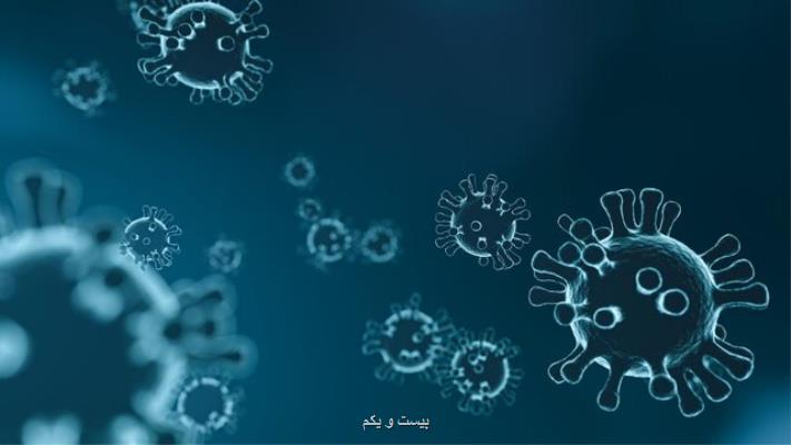 پیش بینی همه گیری های آینده با بررسی تعامل میان انسان و حیوان
