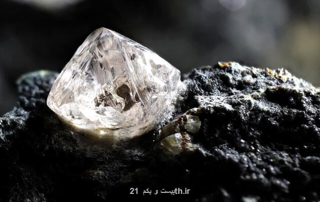 2 نوع الماس نادر از بقایای موجودات زنده تشکیل می شوند!