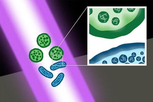 نابودی میکروب های خطرناک با پالس های لیزری بی ضرر