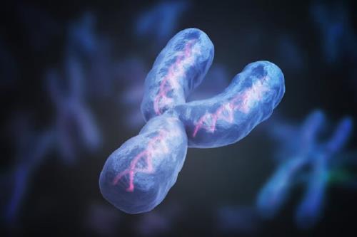 آخرین قطعه از ژنوم انسان توالی یابی شد