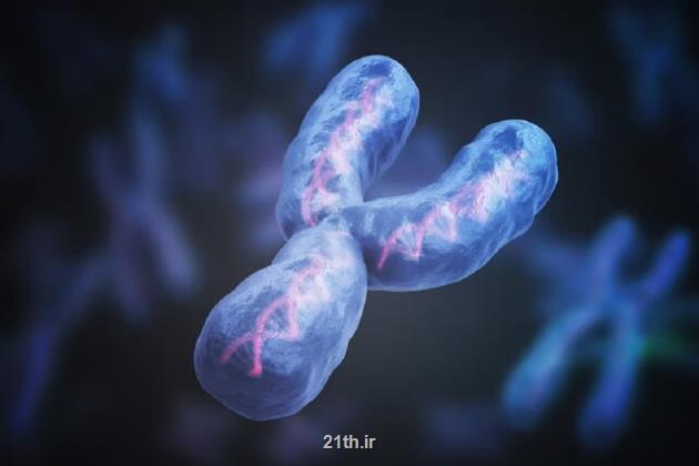 آخرین قطعه از ژنوم انسان توالی یابی شد