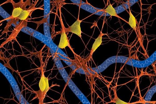 پایش بازدم بیمار با سنسور حاوی ابریشم برای تشخیص فوری بیماری