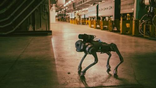 سگ رباتیک نگهبان سازمان اروپایی پژوهش های هسته ای شد