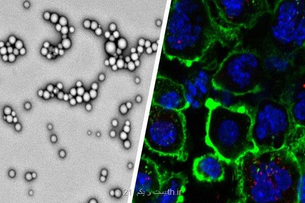طراحی نانوذراتی برای از بین بردن تومورهای بدخیم
