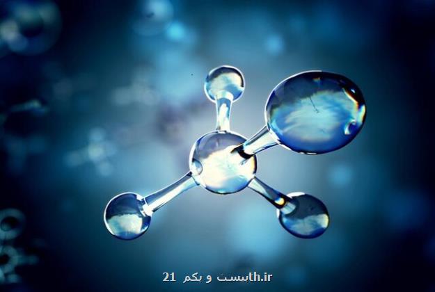برگ مصنوعی راهکار جدید محققان ایرانی برای تولید آب شیرین