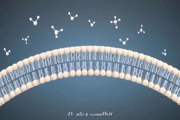 تصویربرداری سرد برای نجات جان انسان ها تحول در طراحی داروهای پیشرفته