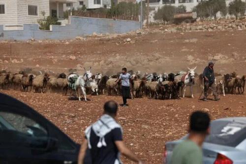 حمله شهرک نشینان صهیونیست به 3 چاه آب