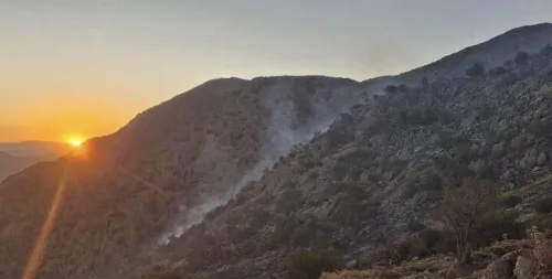 ۸ فناوری نوظهور برای کاهش ریسک حریق های جنگلی