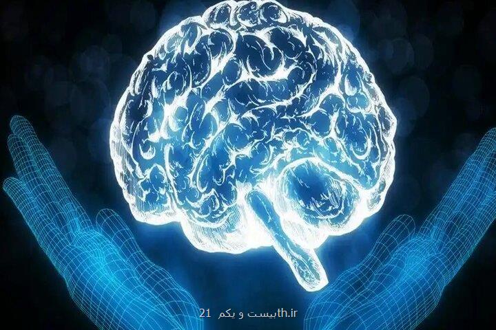 تشکیل کمیته مشترک اجرائی برای توسعه تعاملات در عرصه سلامت شناختی