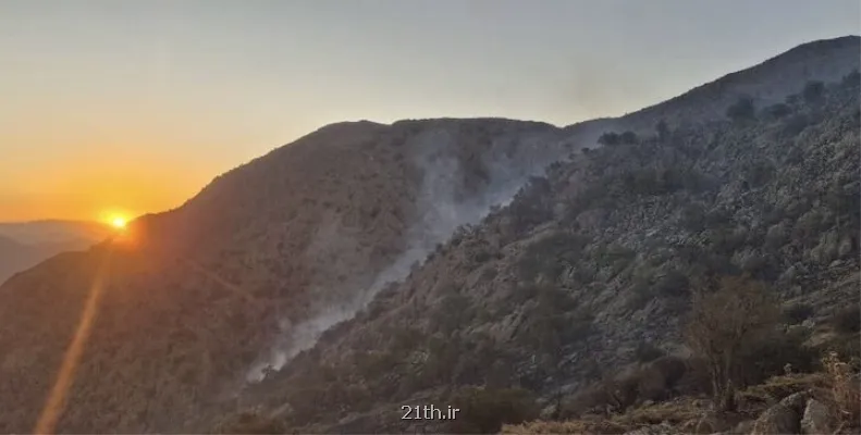۸ فناوری نوظهور برای کاهش ریسک حریق های جنگلی