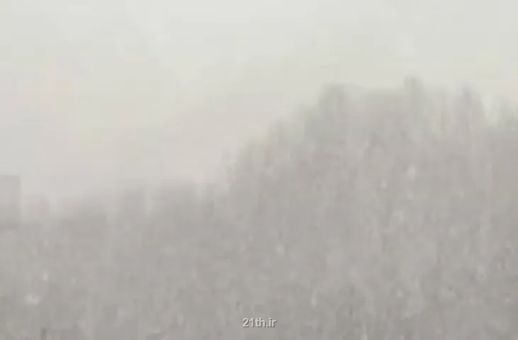 تصویر زیبای برف زمستانی در جنگل توسکستان