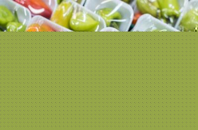 صادرات كیسه های بسته بندی نانویی ایرانی به تركیه