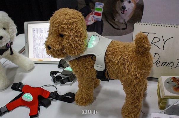 تشخیص احساس سگ ها با یك فناوری پوشیدنی