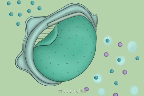 مقاومت در مقابل كرونا با یك لایه غشایی