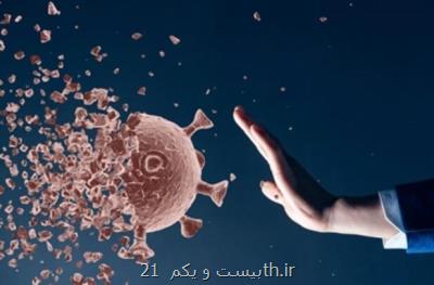 صنایع خلاق همگام با دانش بنیان ها با كرونا مقابله می كند