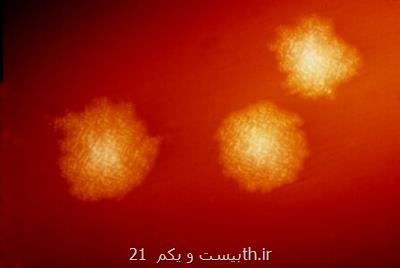 بررسی تأثیر گونه های متفاوت باكتری در درمان عفونت روده